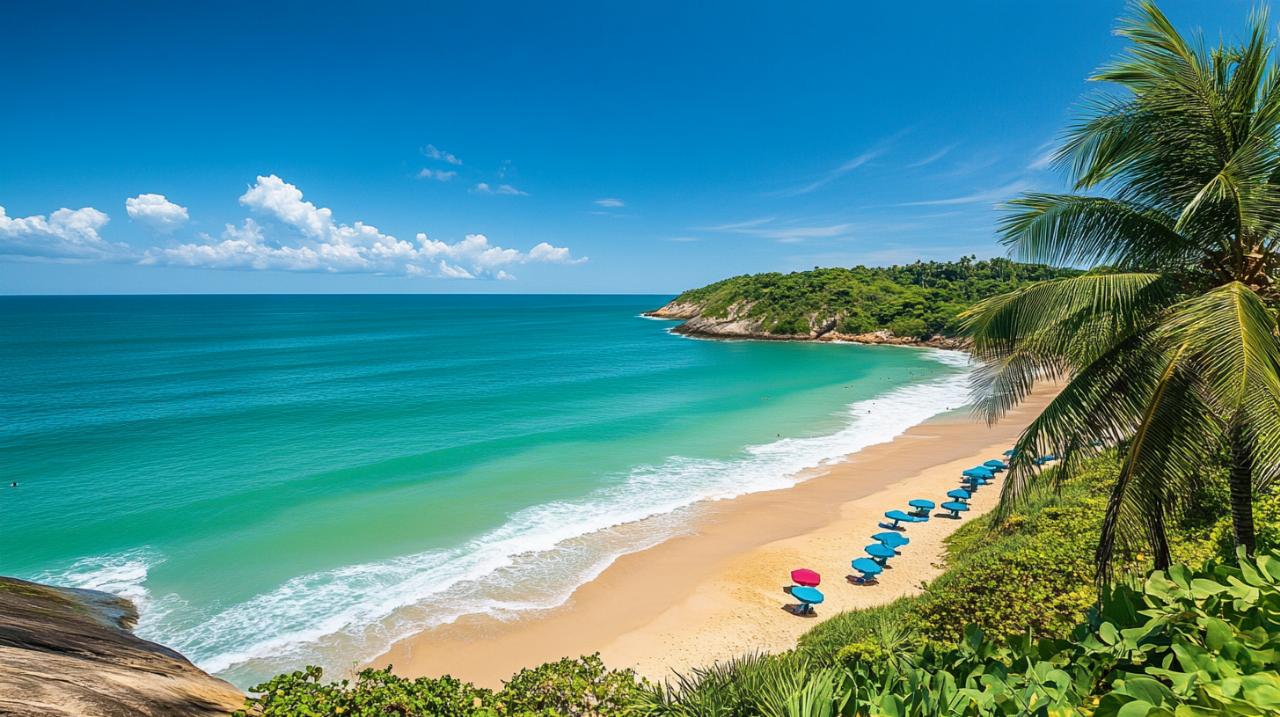 La Historia del PERNAMBUCO: Del Árbol Amenazado de Brasil a los Mejores Arcos de Música del Mundo